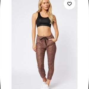 NWT Scorpio Sol Fare Crop Jogger Mocha Ditsy Cheetah
